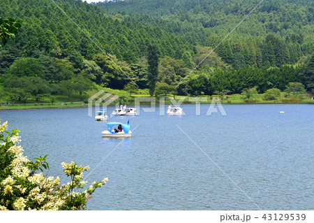 別府の観光地 志高湖キャンプ場 別府の観光地 志高湖キャンプ場 43129539