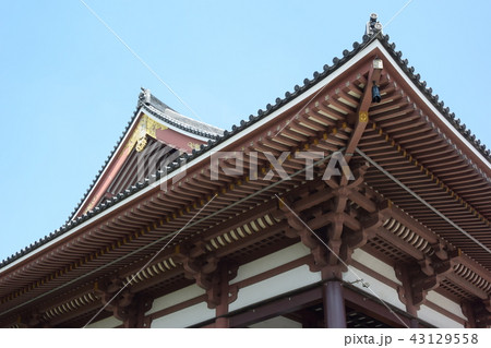 西新井大師 不動堂 西新井大師 不動堂 43129558