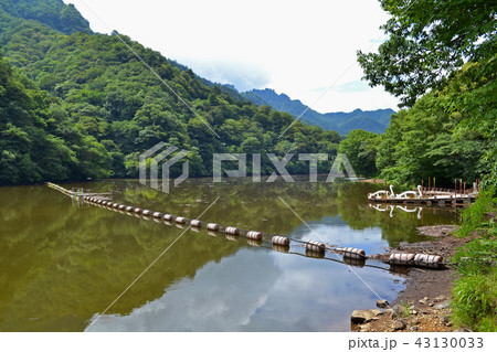 群馬県安中市にある中木ダム　ダム湖（妙義湖） 43130033