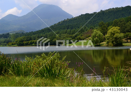 別府の観光地　志高湖キャンプ場 43130043