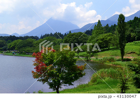 別府の観光地　志高湖キャンプ場 43130047