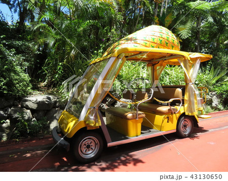 ナゴパイナップルパーク 43130650