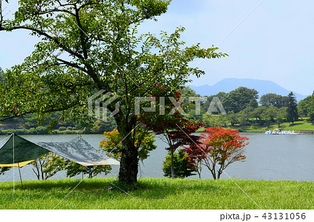 別府の観光地　志高湖キャンプ場 43131056