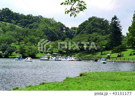 別府の観光地　志高湖キャンプ場 43131177
