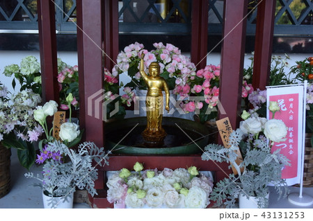 西新井大師　お釈迦様 43131253