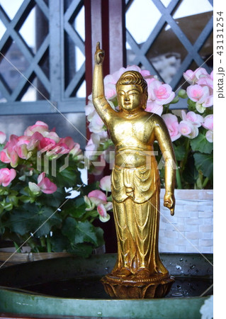 西新井大師　お釈迦様 43131254