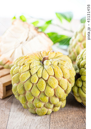 釈迦頭 しゃかとう バンレイシ 台湾で人気の果物 仏頭果の写真素材