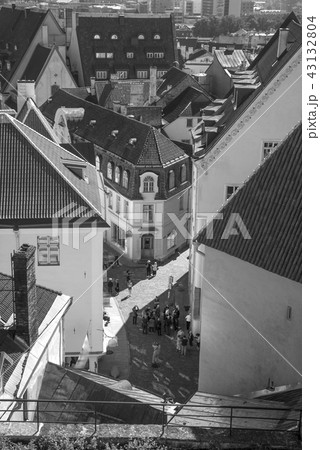 beautiful  photos of Tallinn 43132804