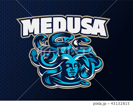 Medusa of the gorgon. Vector illustration. 43132815