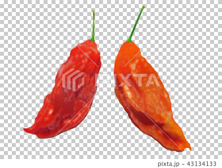 Spicy spice Joloquia Spicy spice Joloquia 43134133