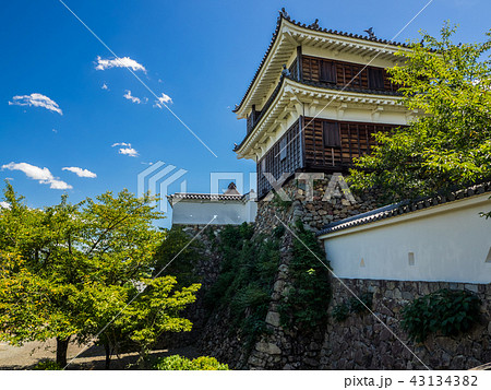 福知山城 43134382