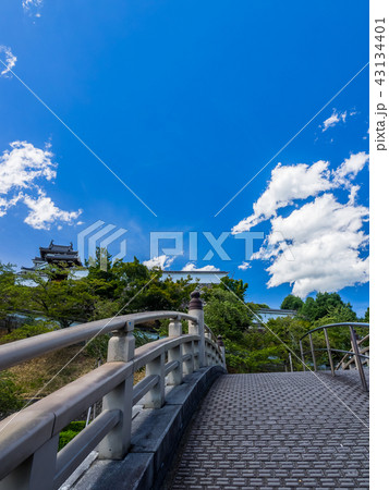 福知山城 福知山城 43134401