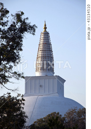 Ruvanvelisaya Anuradhapura Sri Lanka 43134510