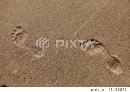 Traces of bare feet in the sand. Baltic sea 43136071