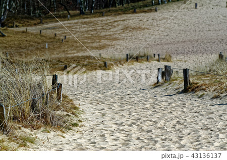Sandy dunes in nature reserve Boberger Niederung 43136137