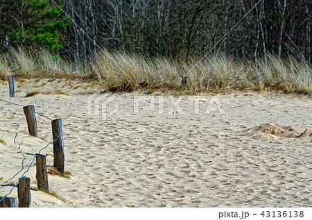 Sandy dunes in nature reserve Boberger Niederung Sandy dunes in nature reserve Boberger Niederung 43136138