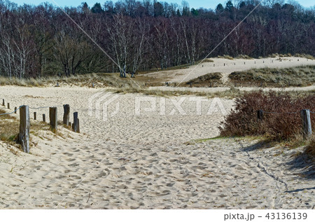 Sandy dunes in nature reserve Boberger Niederung Sandy dunes in nature reserve Boberger Niederung 43136139