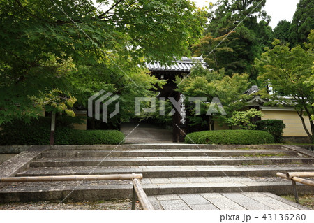 光明寺より 光明寺より 43136280