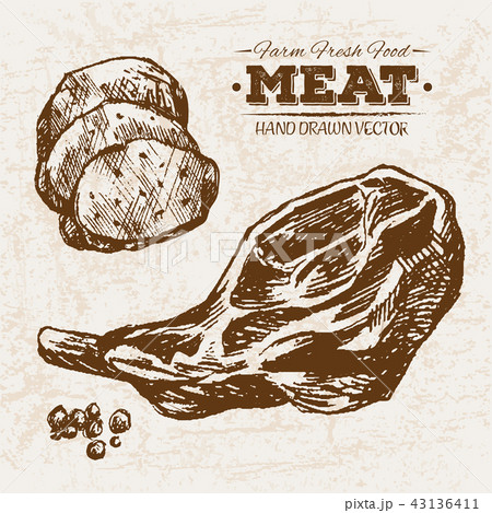 Steak Sketch Vector Art, Icons, and Graphics for Free Download