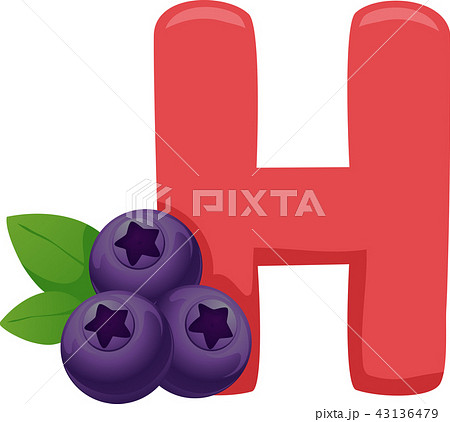 H for Huckleberry Illustration 43136479
