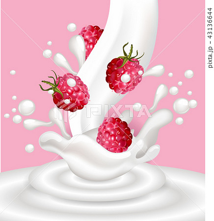 Yogurt Splash With Raspberry Fruits Vectorのイラスト素材