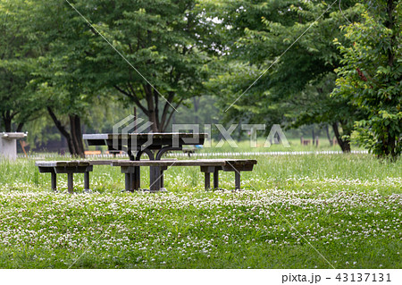 舎人公園のベンチとテーブル 東京都足立区 舎人公園の写真素材