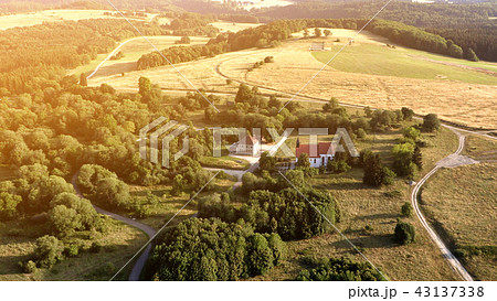 Roads leading through the forest, top view 43137338