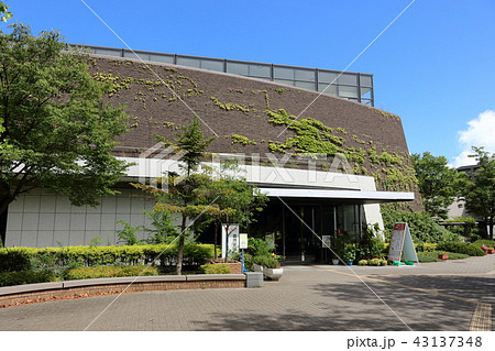 長居植物園(大阪市東住吉区) 43137348