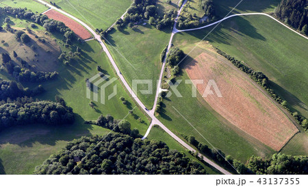 Roads leading through the forest, top view 43137355