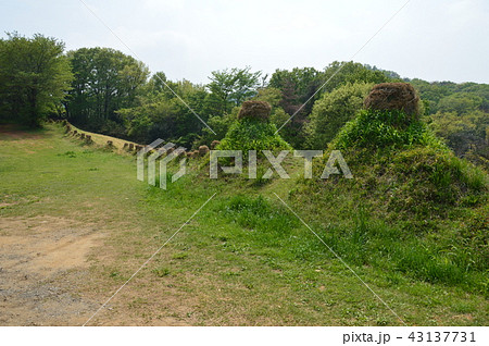 遺跡「猪俣百八燈」(埼玉県児玉郡美里町猪俣) 遺跡「猪俣百八燈」(埼玉県児玉郡美里町猪俣) 43137731