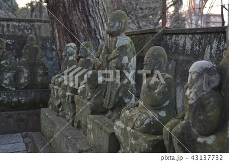 喜多院の「五百羅漢」（埼玉県川越市小仙波町） 43137732