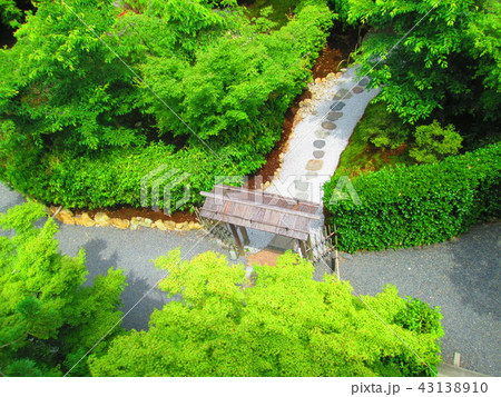 日本庭園 日本庭園 43138910