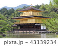 金閣寺 43139234
