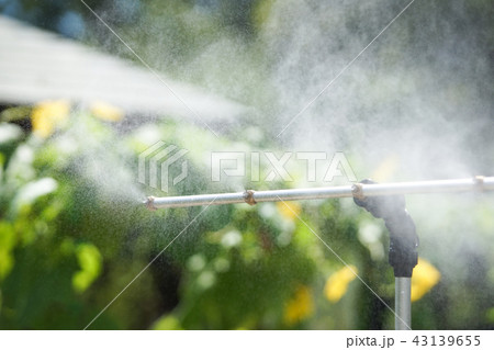 ミストシャワー ミストシャワー 43139655