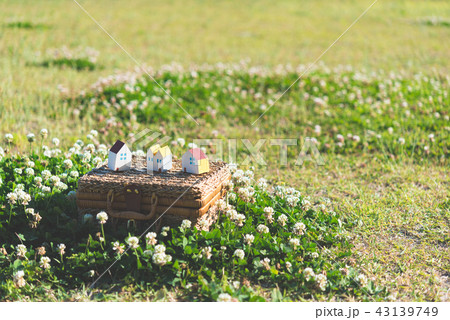 春　スナップ 43139749