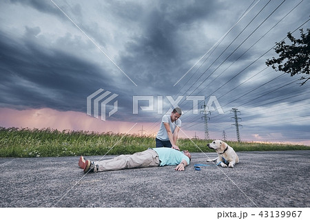 Resuscitation on the road and loyal dog 43139967