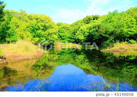 韓国 済州島 風景 43140056