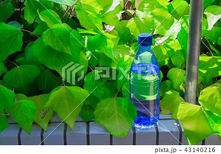 blue&green blue&green 43140216