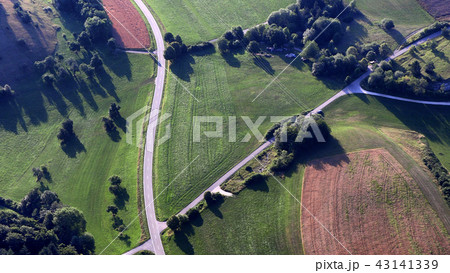 Roads leading through the forest, top view Roads leading through the forest, top view 43141339