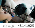 白黒 黒白 モノクロ 43141925
