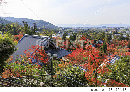 京都・禅林寺・永観堂の紅葉 43142113