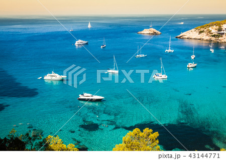 Es vedra island of Ibiza  Cala d Hort in Balearic  43144771