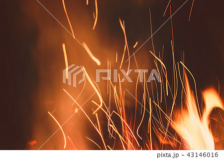 Night bonfire background Night bonfire background 43146016