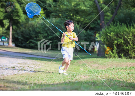 子供 捕虫網 男の子 43146107