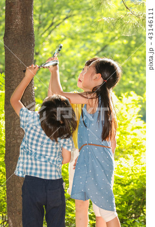 子供 女の子 少女 43146111