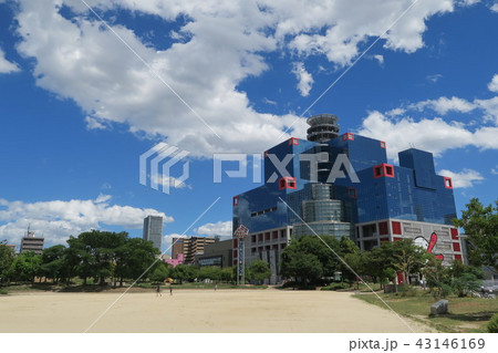 大阪　扇町公園　夏　昼間　遠景 43146169