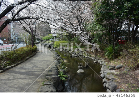 江戸川区　一之江境川親水公園 43146259