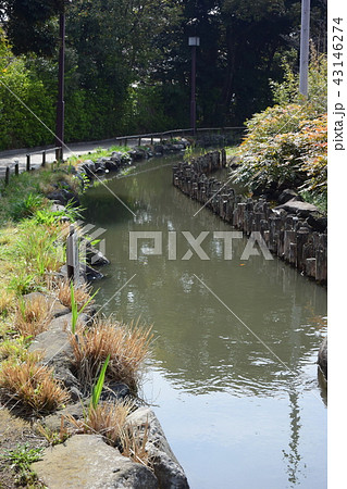 江戸川区　一之江境川親水公園 43146274