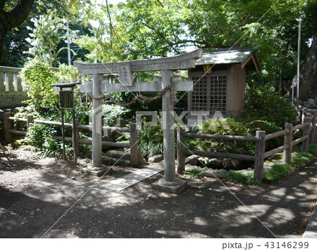 諏訪神社（東京の名湧水57選） 43146299