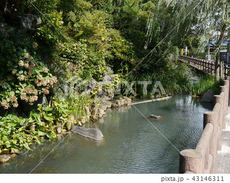 龍津寺(東京の名湧水57選) 龍津寺(東京の名湧水57選) 43146311